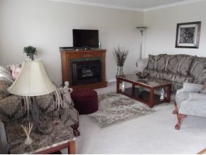 585 Gray Road Greeneville, TN 37743 - Photo 2 of 24 Living Room wGas Fireplace