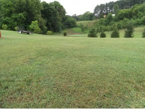 585 Gray Road Greeneville, TN 37743 - Photo 21 of 24 View Out Back of House of Yard