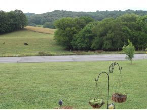 585 Gray Road Greeneville, TN 37743 - Photo 24 of 24 View From Front Porch