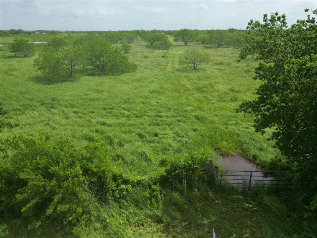 a view of a lush green field