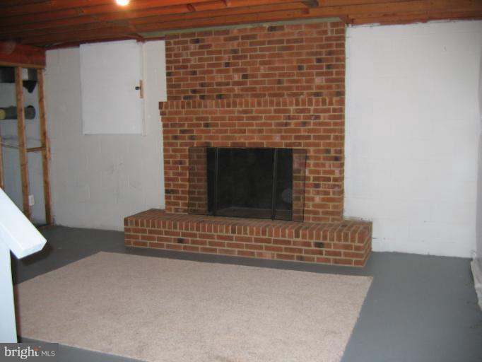 Basement Library