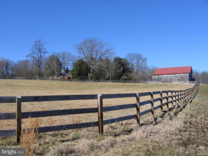 Right Front Paddock