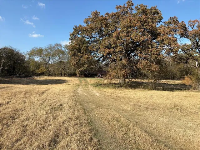 a view of city and ocean