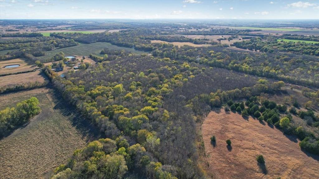 14951 County Road 622 Blue Ridge, TX 75424 - Photo 12 of 40
