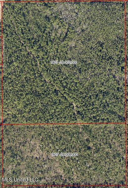 Dobson Road Diberville, MS 39540 - Photo 4 of 5 63acParcelNumbers