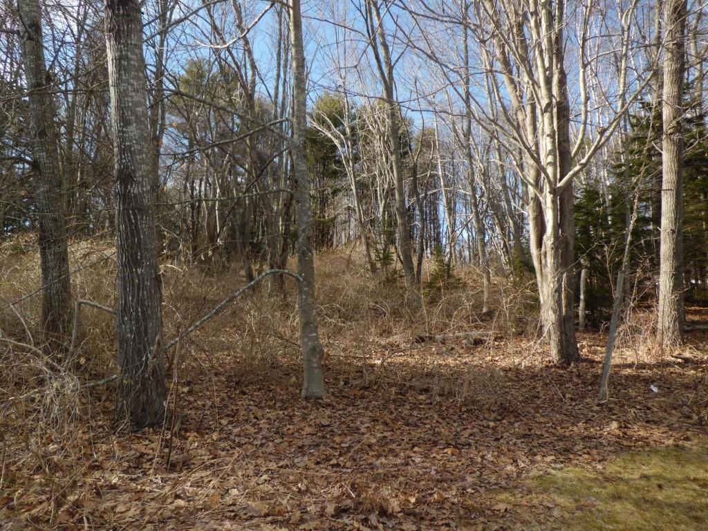 0 North No Fork Road Harpswell, ME 04079 - Photo 1 of 12 Land- sloping terrain.