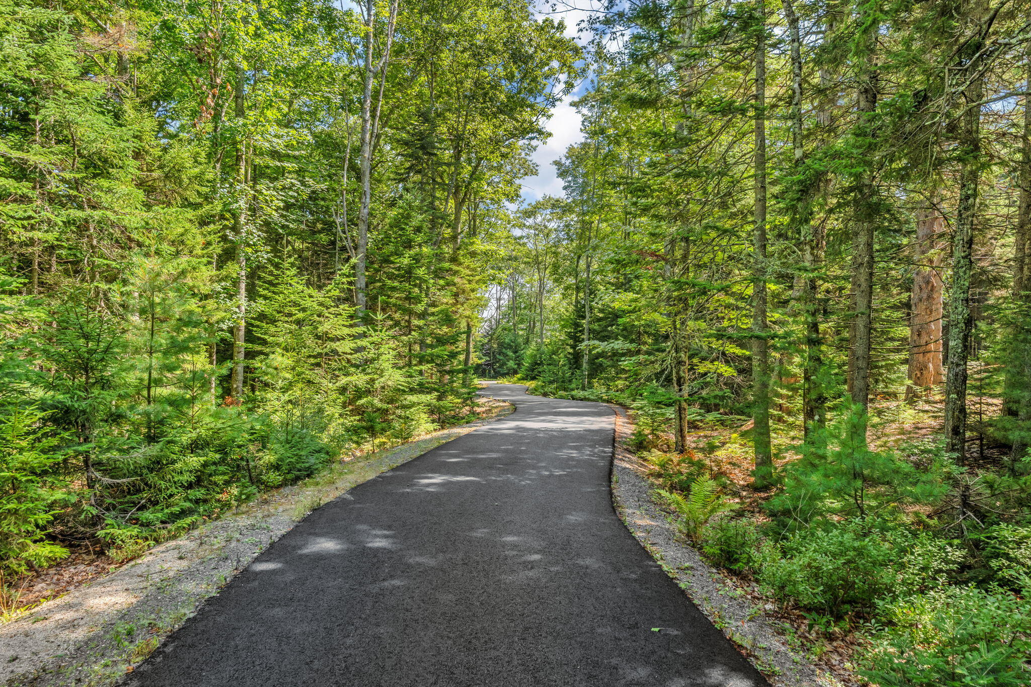 1197 Bay Road Brooklin, ME 04616 - Photo 40 of 143 76-web-or-mls-1197-bay-rd