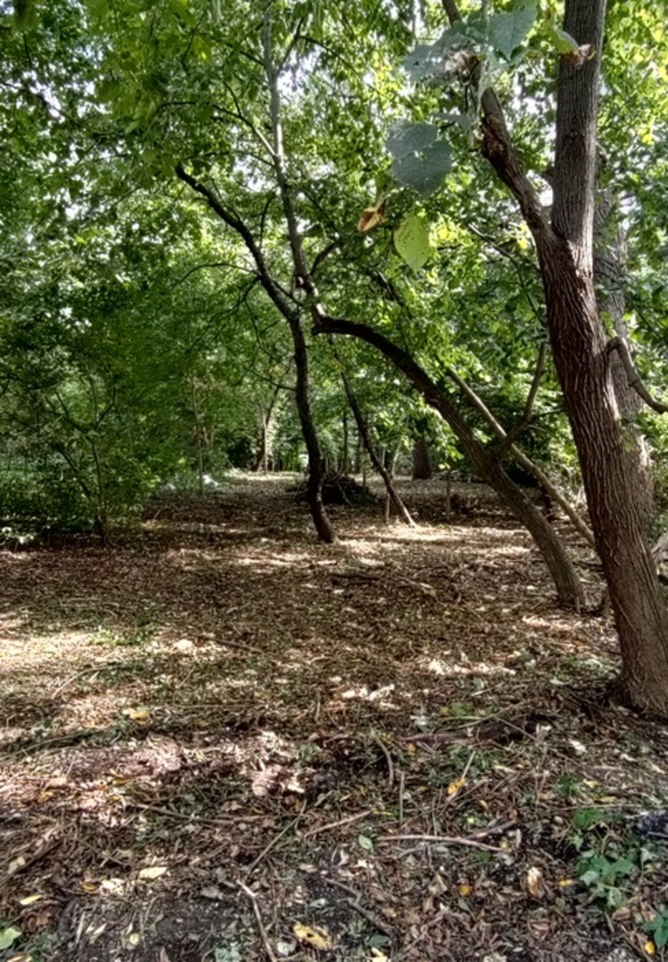 11 Rohrssen Road Elgin, IL 60120 - Photo 3 of 5