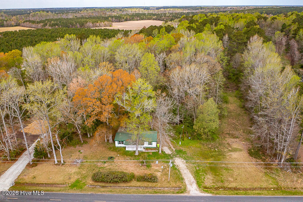 1228 Scotts Store Road Grantsboro, NC 28529 - Photo 8 of 13 DJI_0688