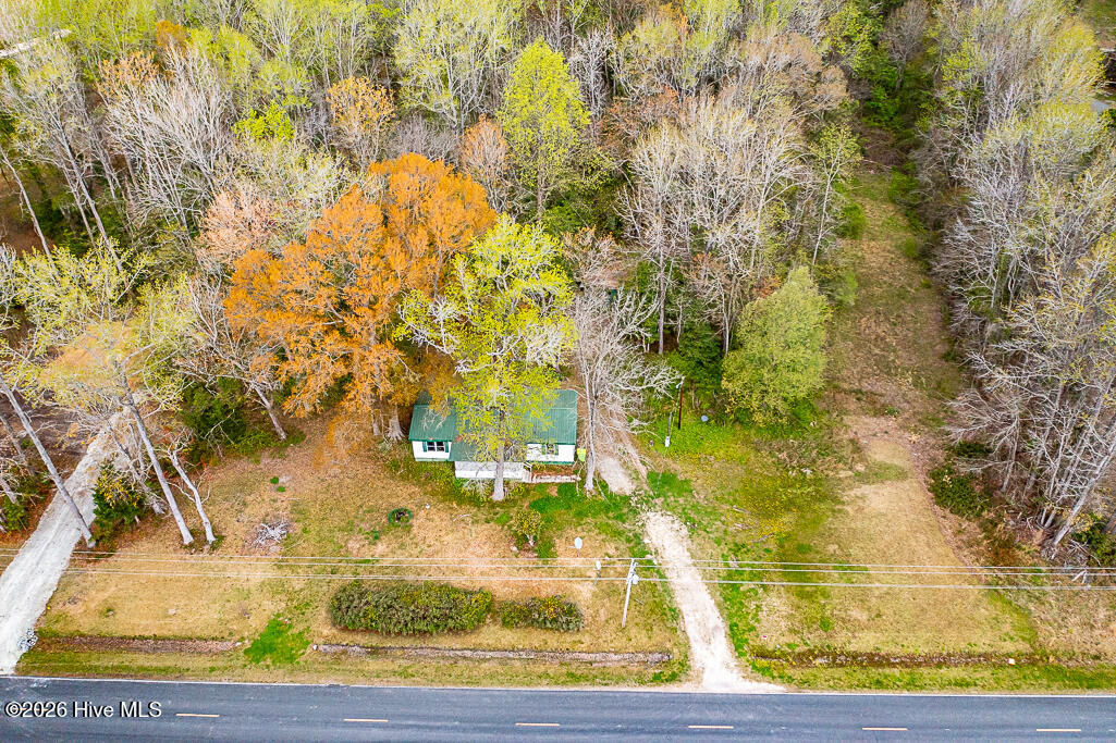1228 Scotts Store Road Grantsboro, NC 28529 - Photo 9 of 13 DJI_0687
