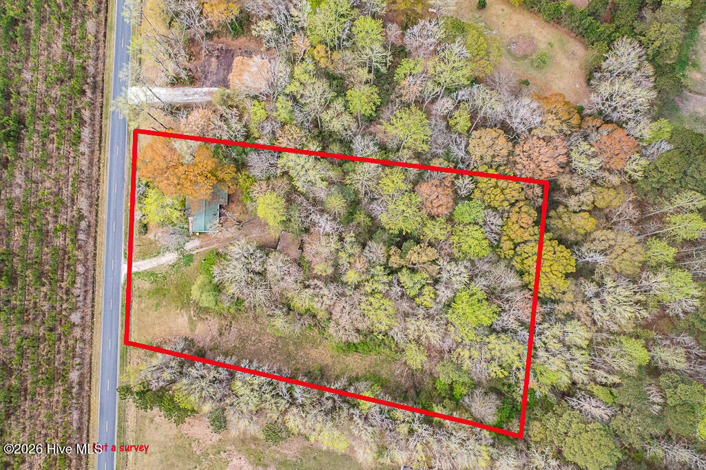 1228 Scotts Store Road Grantsboro, NC 28529 - Photo 10 of 13 DJI_0686-Edit