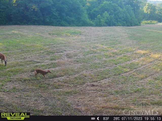 1738 Bat Roost Road Manchester, OH 45144 - Photo 23 of 50 Gallery Image 23