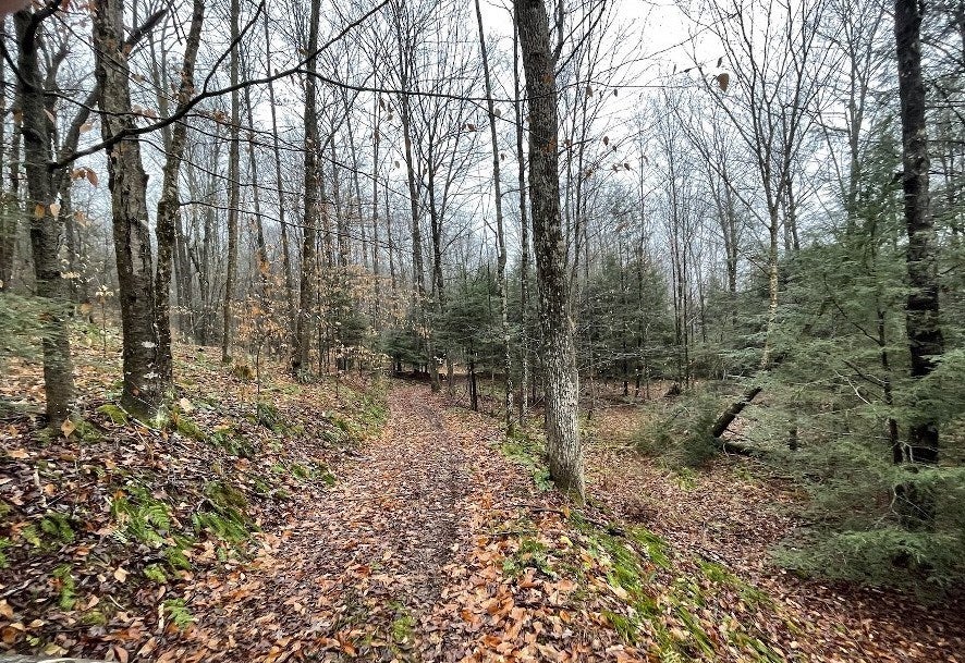 2155 Wilson Hill Road Morris, PA 16938 - Photo 23 of 38 Gallery Image 23