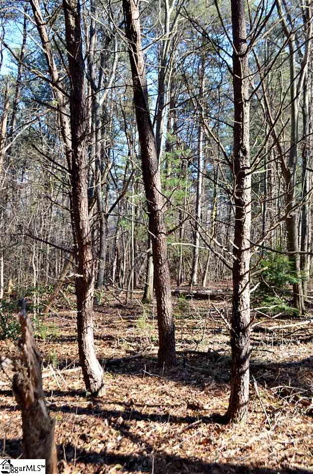 81 Loftis Road Travelers Rest, SC 29690 - Photo 3 of 28