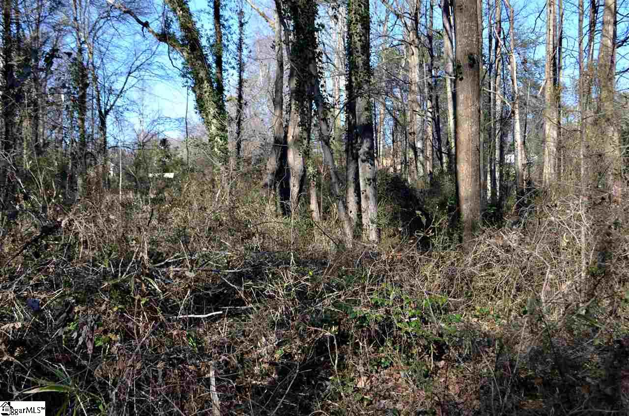 81 Loftis Road Travelers Rest, SC 29690 - Photo 22 of 28