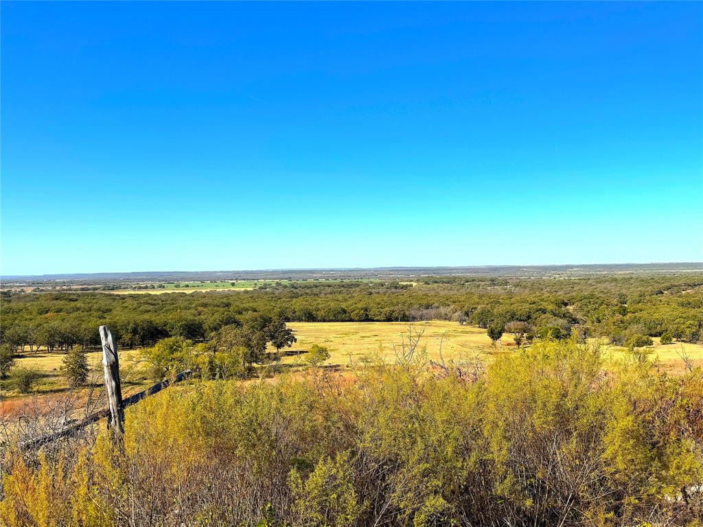 1849 2 Bush Road Perrin, TX 76486 - Photo 4 of 40