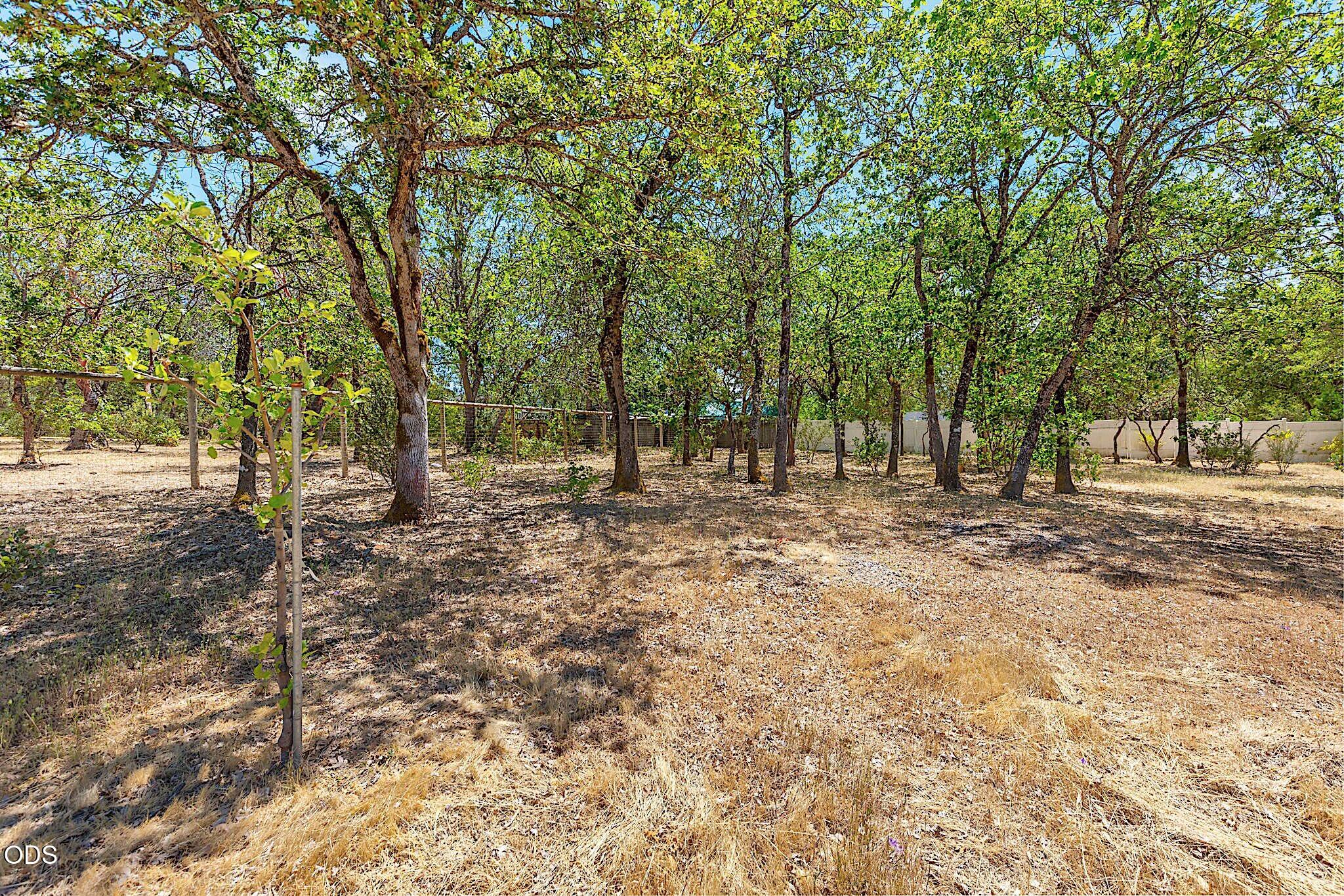 371 Castle Creek Road Grants Pass, OR 97526 - Photo 58 of 71 Gallery Image 58