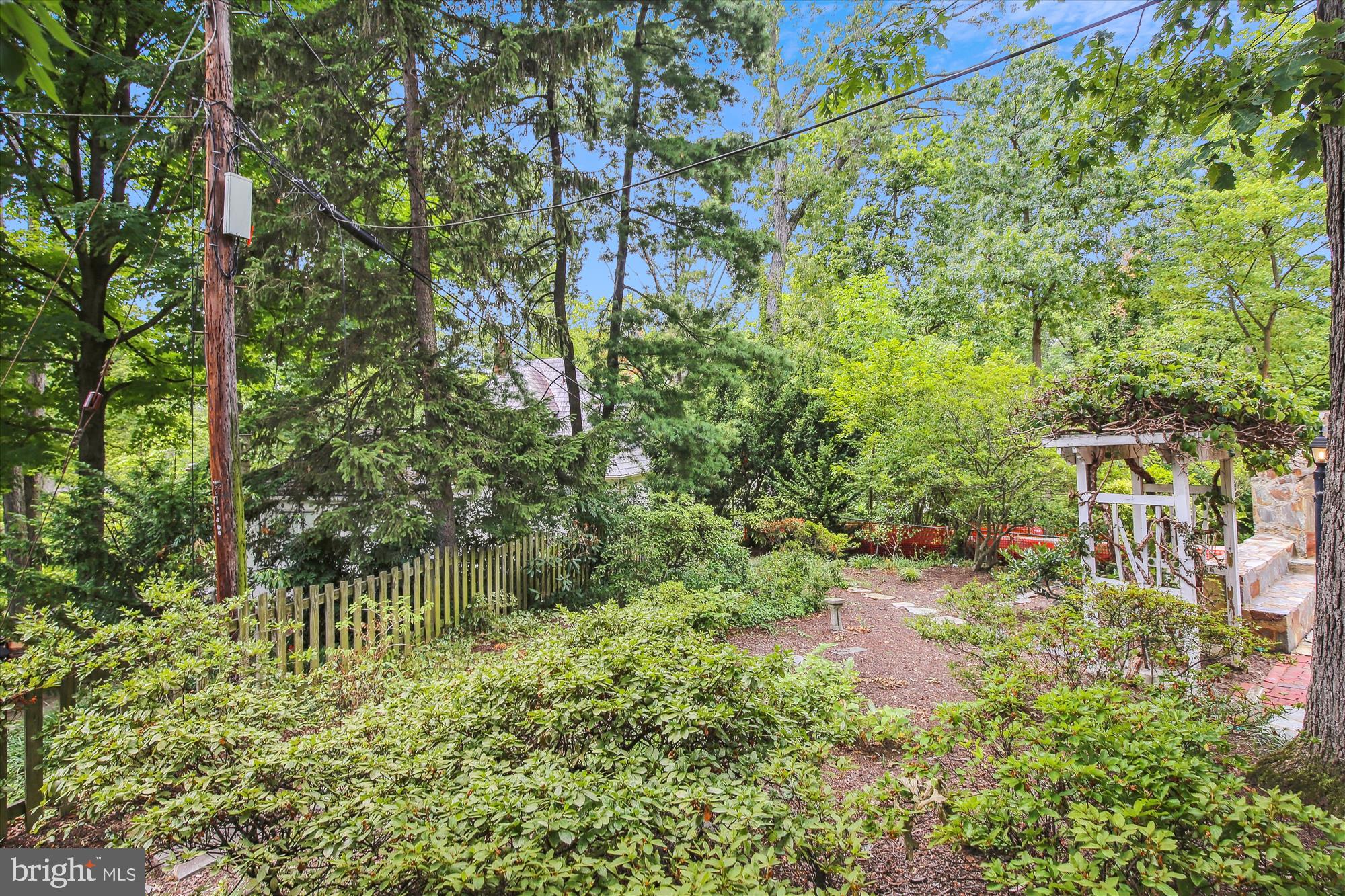 3304 Circle Hill Road Alexandria, VA 22305 - Photo 42 of 59 Back Yard