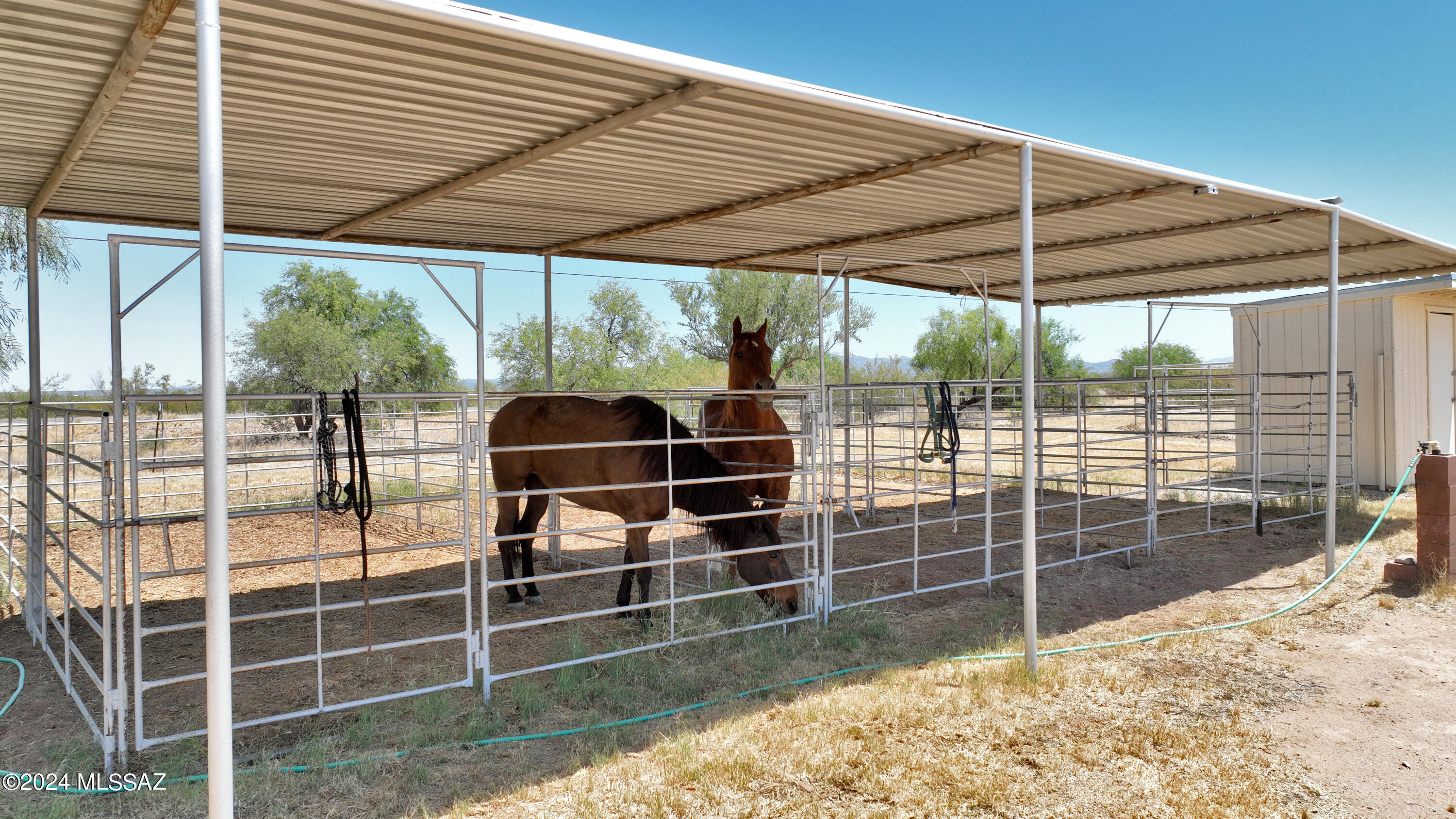 12405 West Emigh Road Tucson, AZ 85743 - Photo 11 of 42 Gallery Image 11