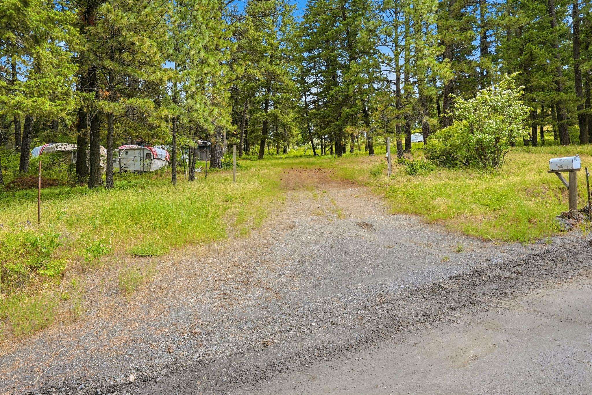 11603 East Deer Creek Road Chattaroy, WA 99003 - Photo 4 of 26