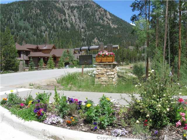 24 Wolf Rock Road Keystone, CO 80435 - Photo 1 of 8 a view of a garden with a fountain
