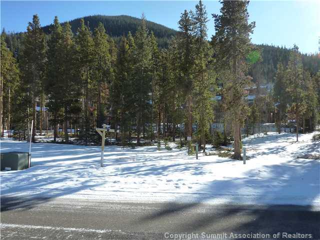 24 Wolf Rock Road Keystone, CO 80435 - Photo 6 of 8 a view of road with trees