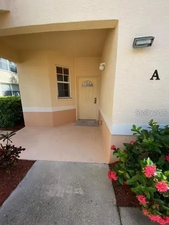 a view of a house with a yard and potted plants