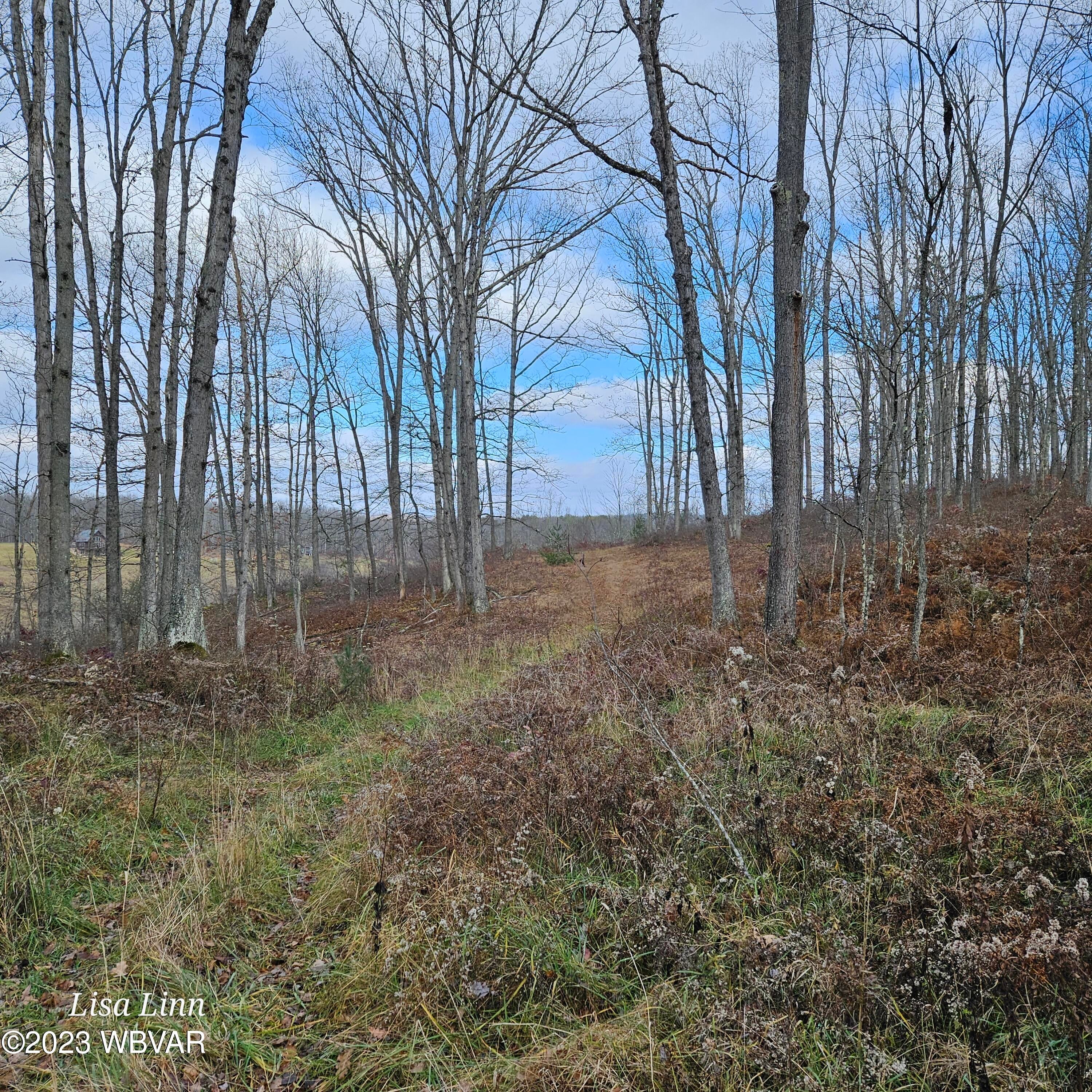 Shintown Road Renovo, PA 17764 - Photo 8 of 16 Gallery Image 8