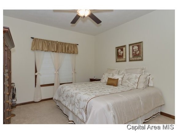 8 Quail Crossing Rochester, IL 62563 - Photo 17 of 24