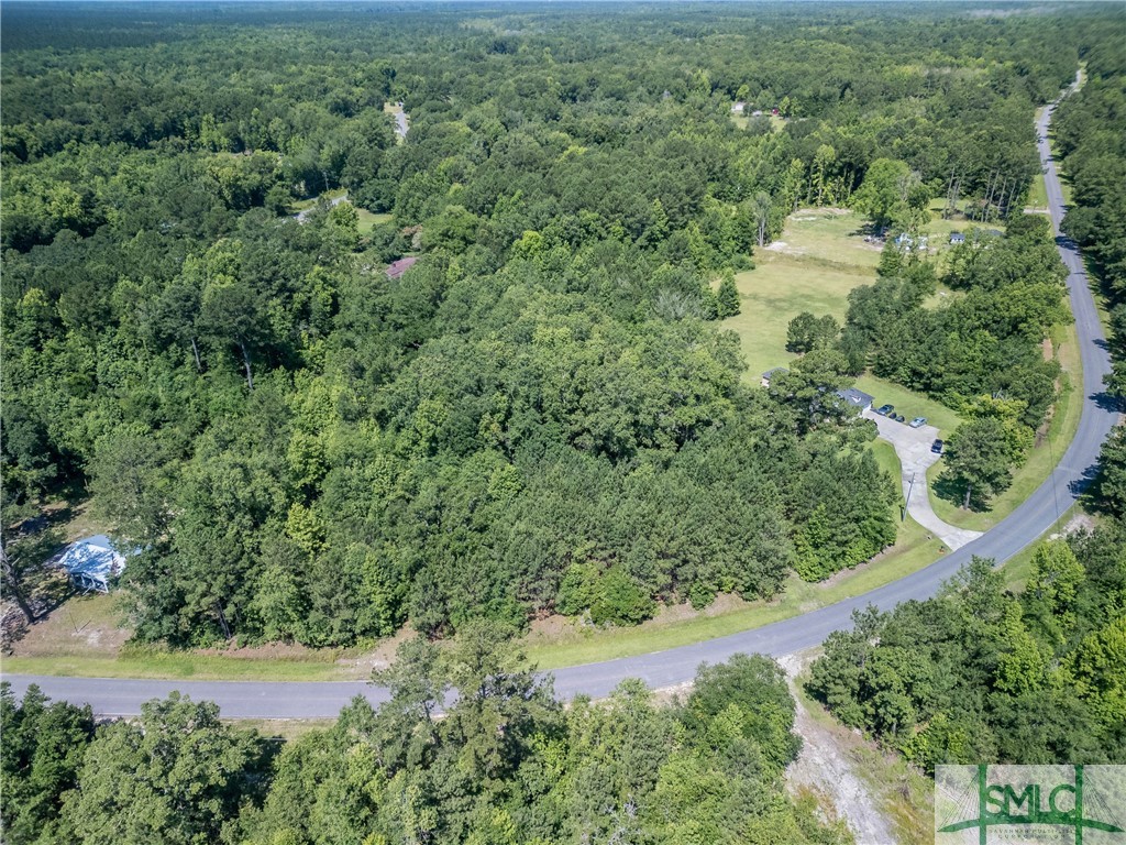 3.40-acres Holmestown Loop Road Midway, GA 31320 - Photo 1 of 9 Gallery Image 1