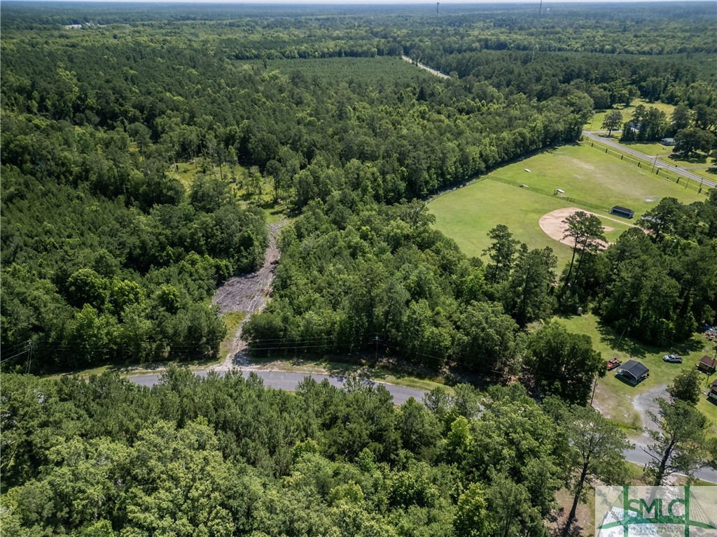 3.40-acres Holmestown Loop Road Midway, GA 31320 - Photo 2 of 9 Gallery Image 2