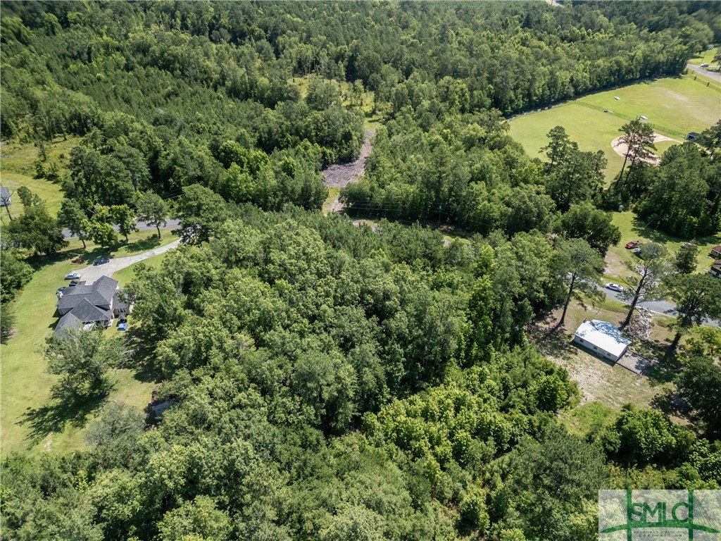 3.40-acres Holmestown Loop Road Midway, GA 31320 - Photo 4 of 9 Gallery Image 4