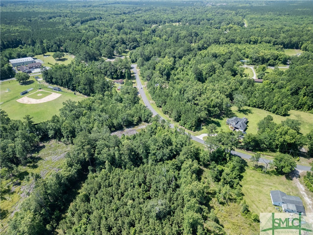 3.40-acres Holmestown Loop Road Midway, GA 31320 - Photo 7 of 9 Gallery Image 7
