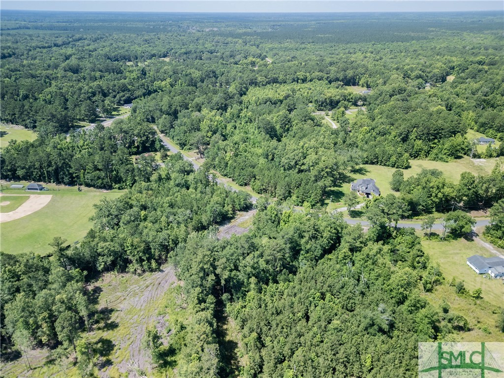 3.40-acres Holmestown Loop Road Midway, GA 31320 - Photo 8 of 9 Gallery Image 8