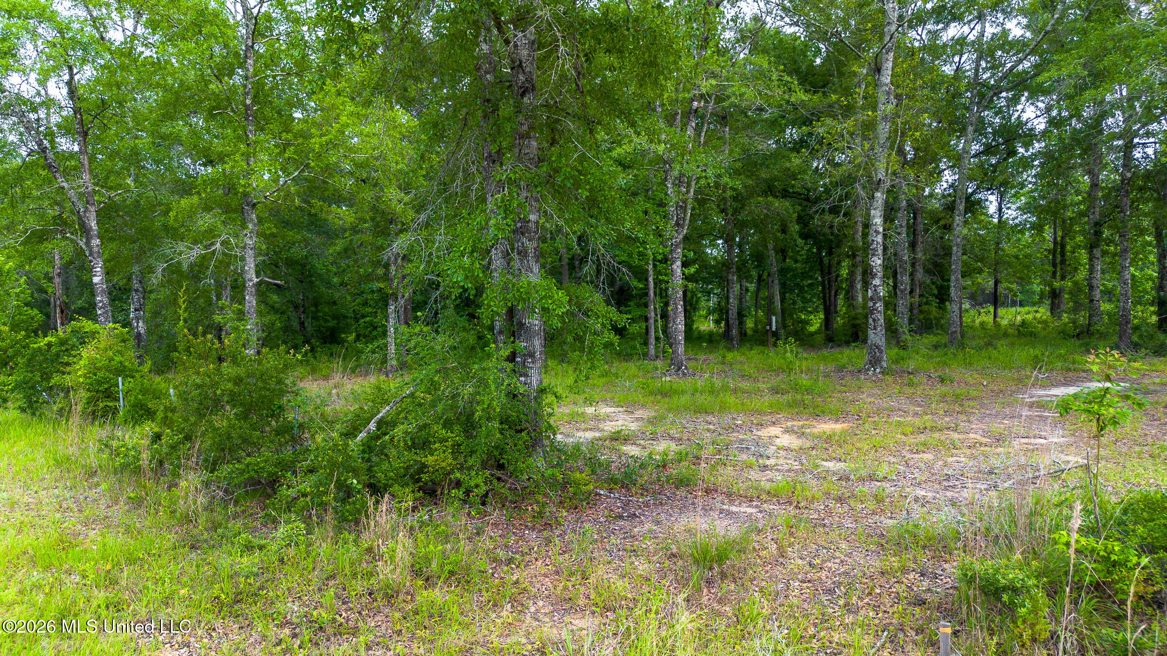 17465 Nobles Road Saucier, MS 39574 - Photo 14 of 19 17465 Nobles Rd (14)