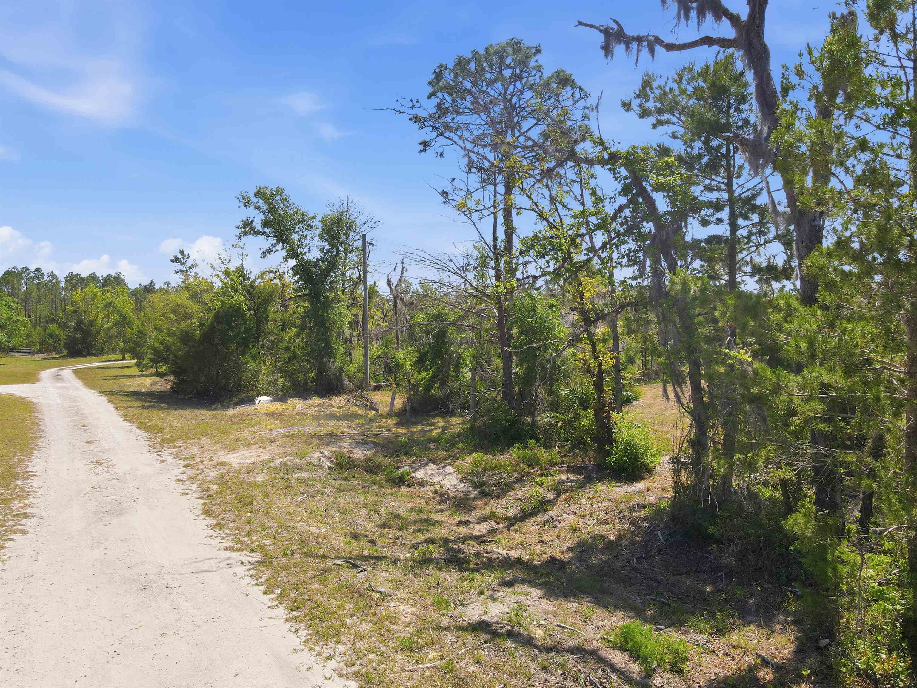 15931 Shell Drive Perry, FL 32348 - Photo 5 of 8 Gallery Image 5