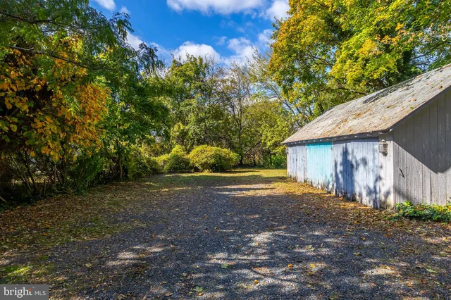 a view of a yard with large trees