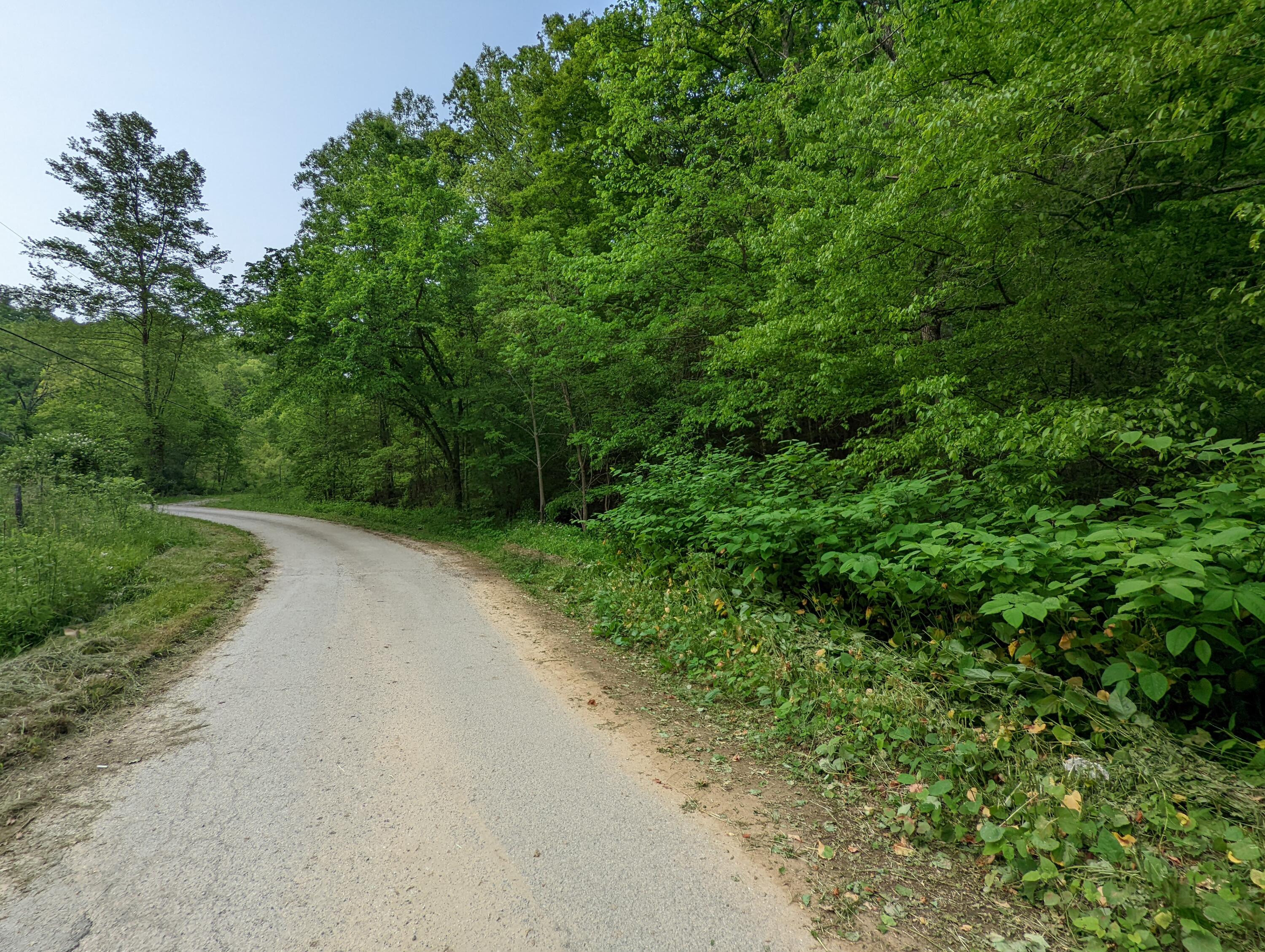 1560 Buckeye Branch Road Flat Lick, KY 40935 - Photo 5 of 5 4
