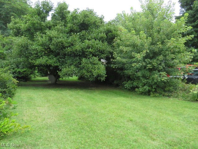 3 Biscoff Avenue Conneaut, OH 44030 - Photo 2 of 5