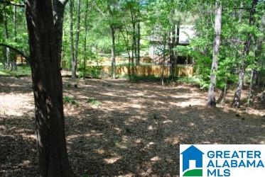 221 Oakmont Road Birmingham, AL 35244 - Photo 37 of 47