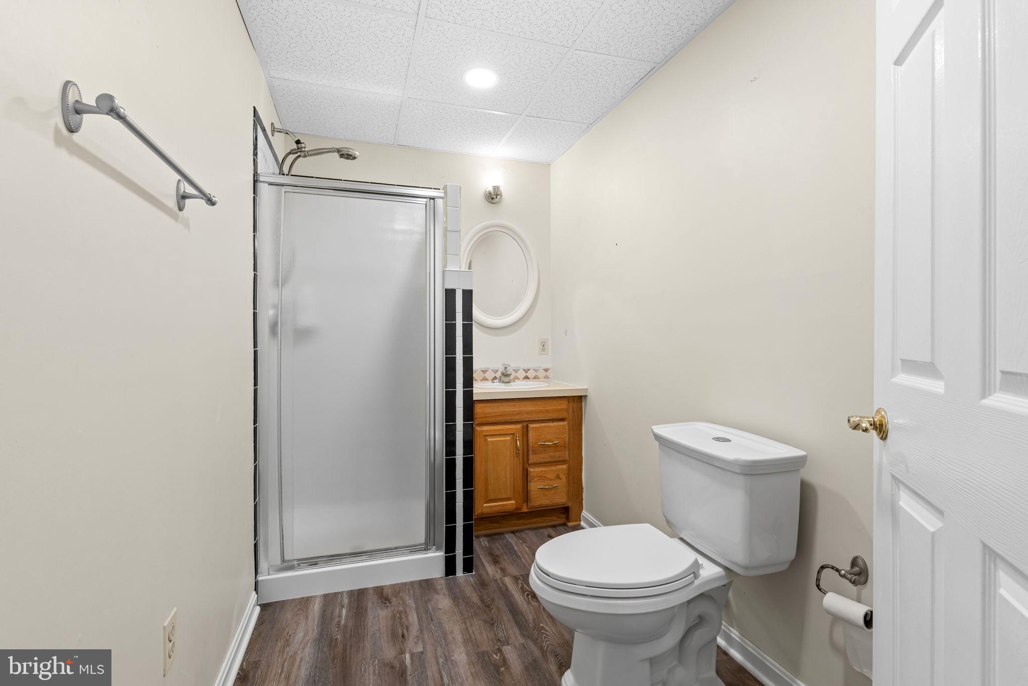 111 Wind Tree Valley Road Parkton, MD 21120 - Photo 49 of 79 Lower Level Full Bath