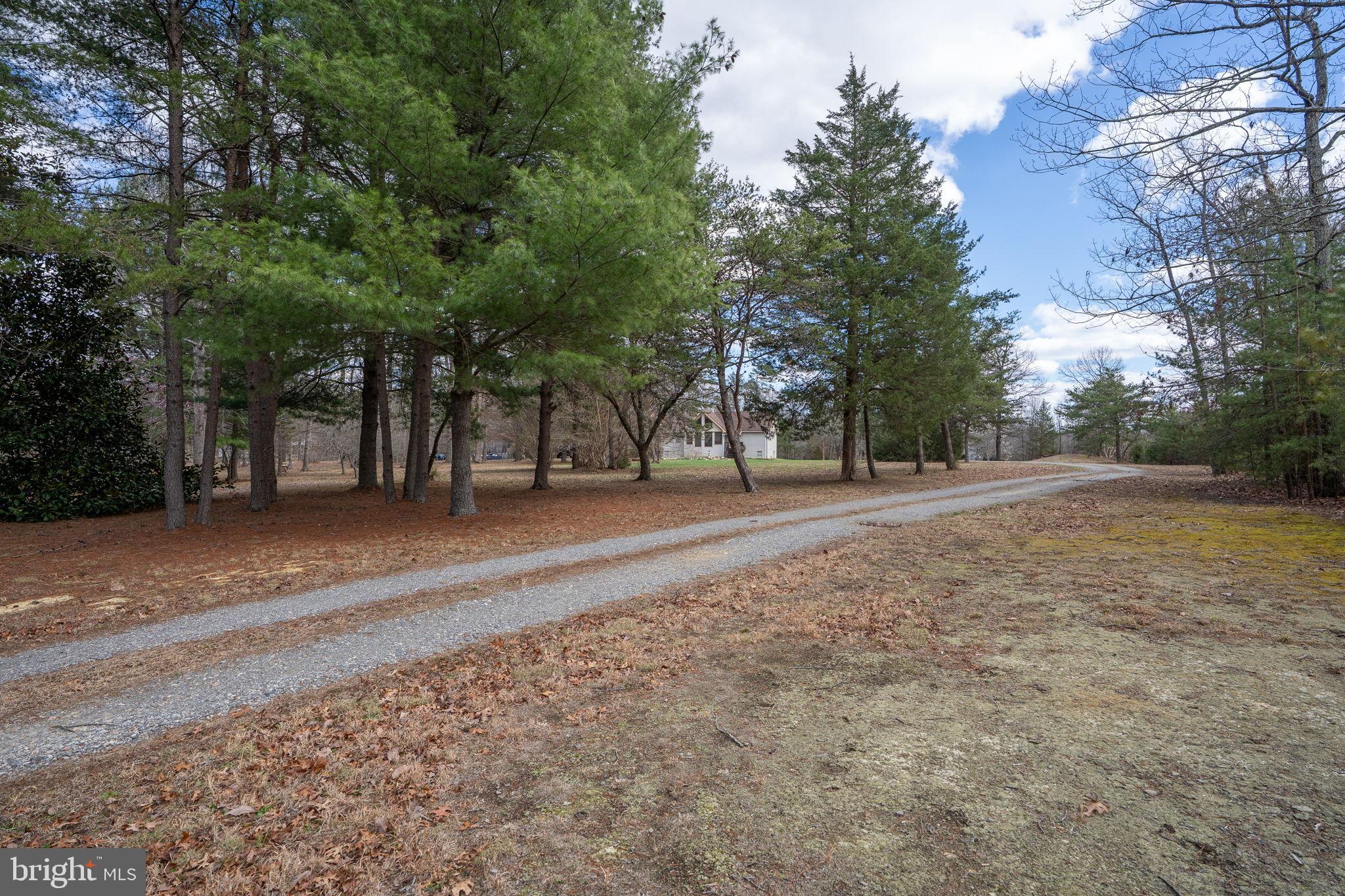 586 Jacoby Road Louisa, VA 23093 - Photo 69 of 81