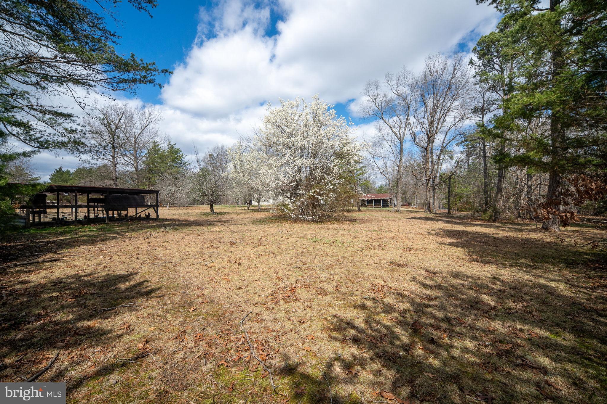 586 Jacoby Road Louisa, VA 23093 - Photo 74 of 81
