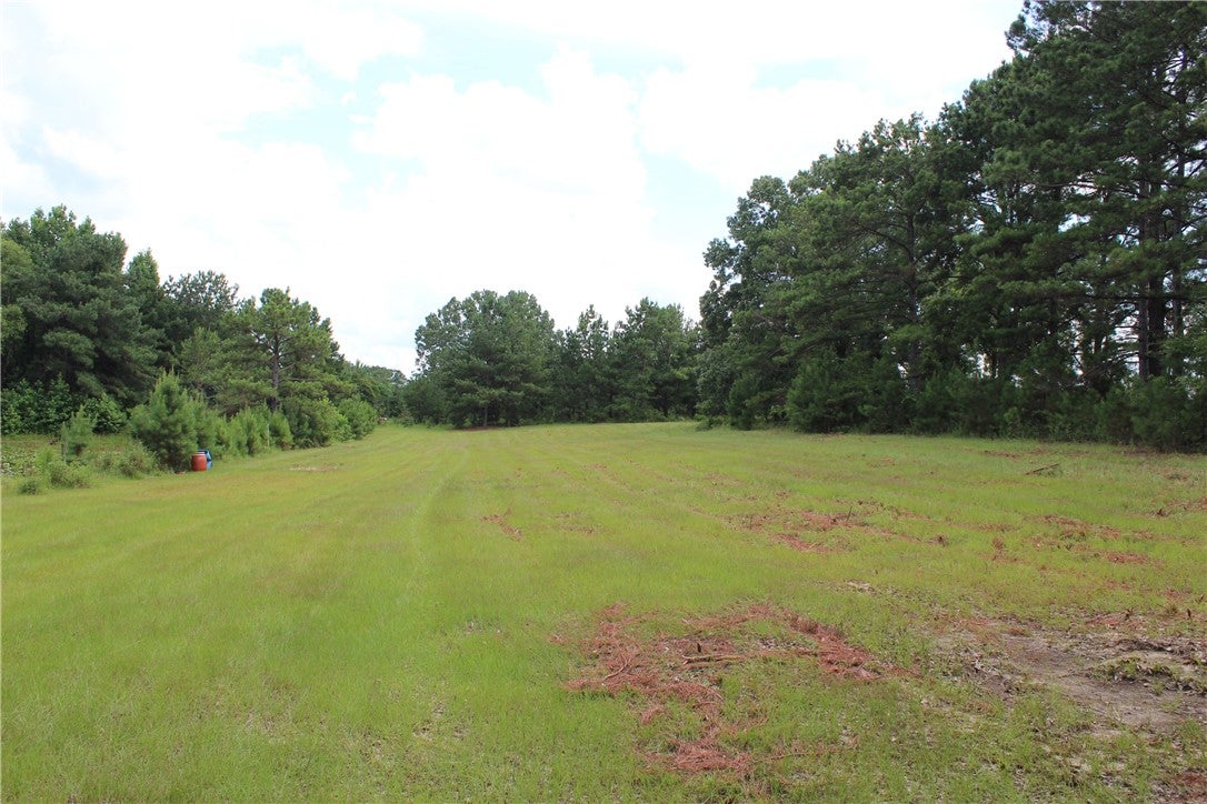 0 Brooks Road Phenix City, AL 36870 - Photo 5 of 14 Gallery Image 5