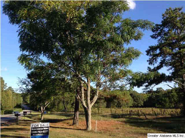 Pine Harbor Road, Unit 12 Pell City, AL 35128 - Photo 5 of 9