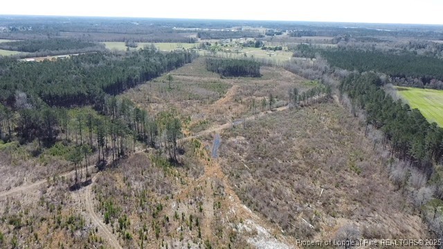 a view of a forest with trees in the background