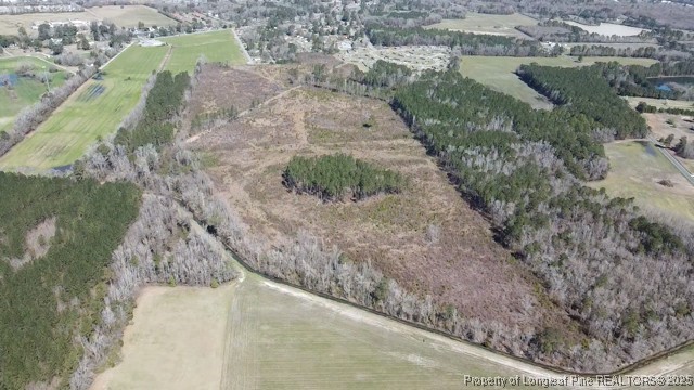 Allen Street Lumberton, NC 28358 - Photo 13 of 17 a view of a yard with a pathway