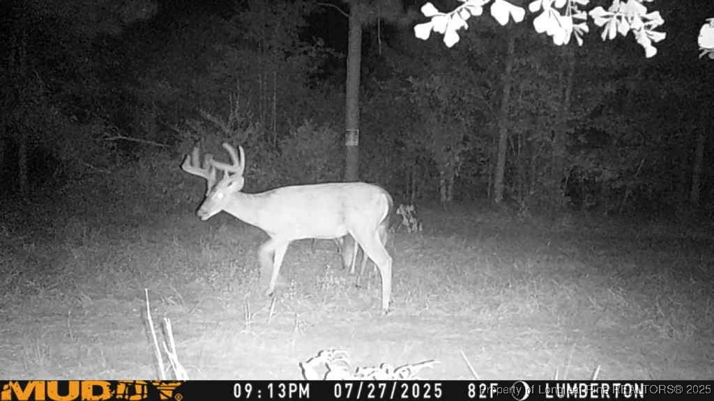 Allen Street Lumberton, NC 28358 - Photo 17 of 17 a view of a chairs and table in the room