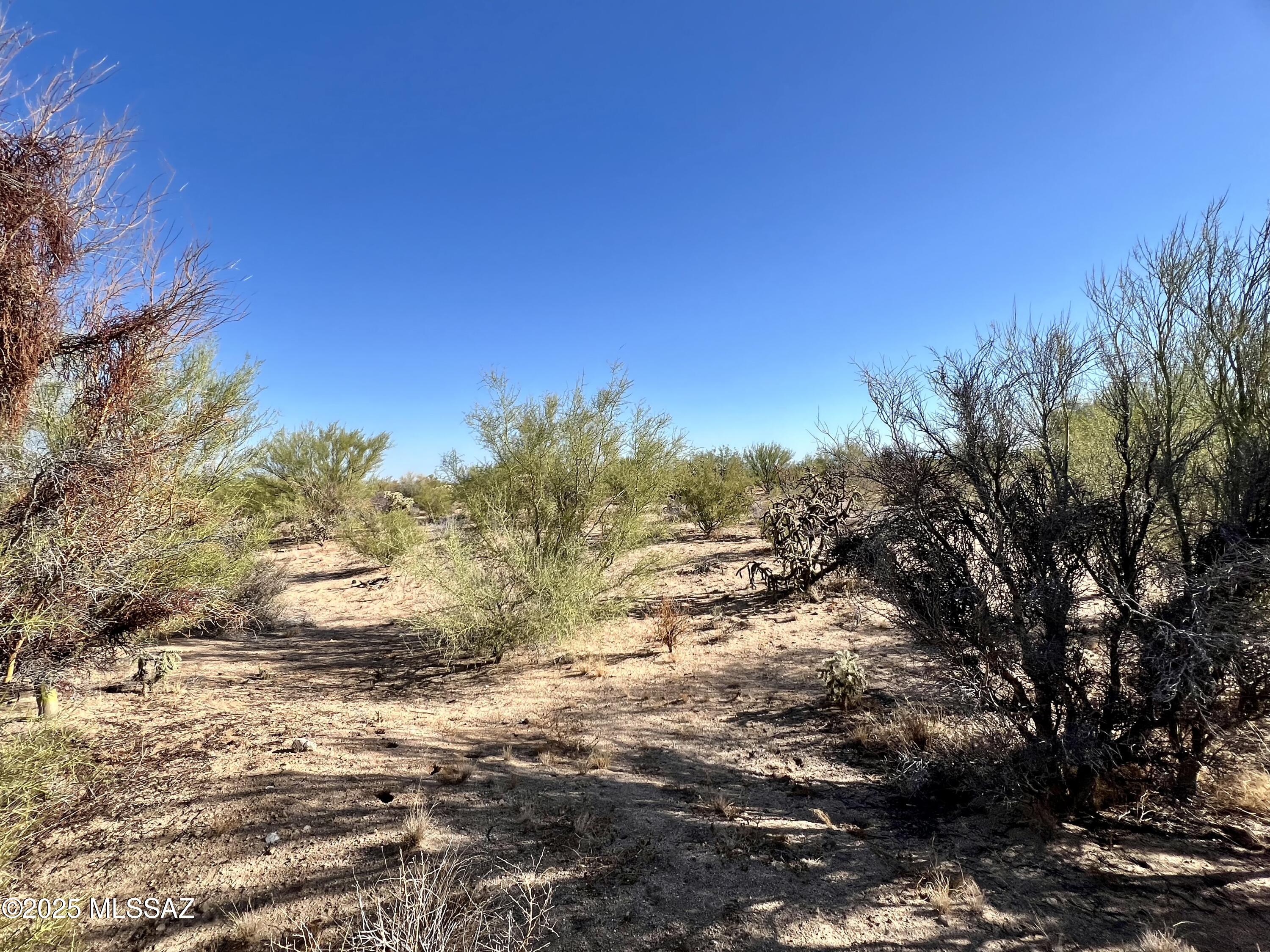 3-lots West Diamond Bell Ranch Road, Unit 1113 Tucson, AZ 85736 - Photo 5 of 12