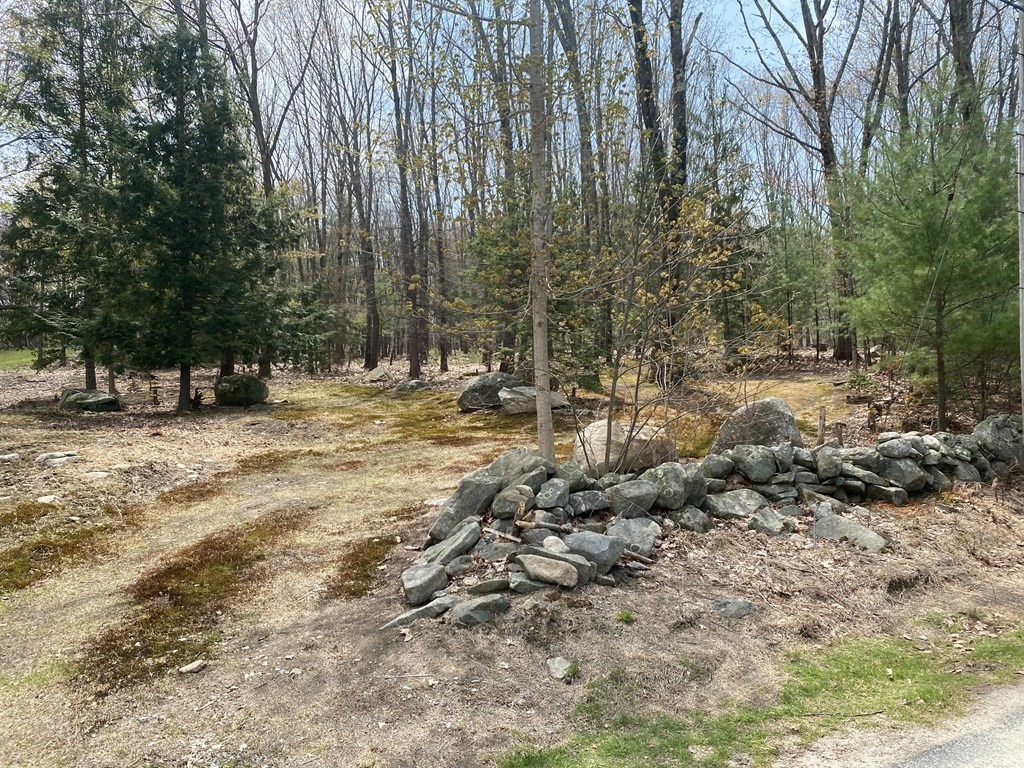 3 Old Littleton Road Harvard, MA 01451 - Photo 1 of 7 Gallery Image 1